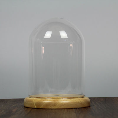 Cloche купола ясности боросиликата основания D20 x H23cm дуба стеклянный поставщик