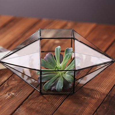 Ромбовидная ясная стеклянная ваза, прочные геометрические вазы стекла Террарюм поставщик